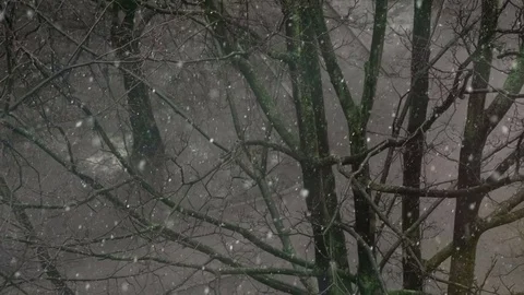First Snow Over The Old Park HD Pro Stock Footage 82595235