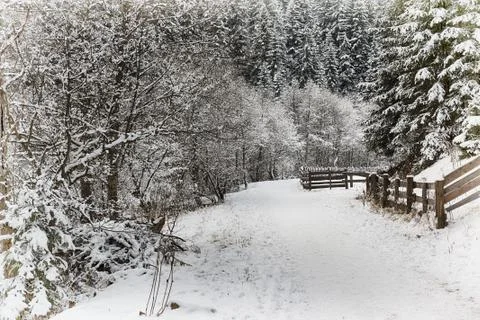 First snow in the park Stock Photos