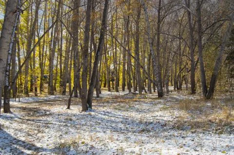 First snow in the Park Stock Photos