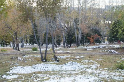 First snow in the Park Foto stock