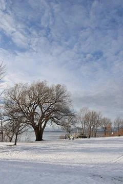 First snow in the park Stock Photos