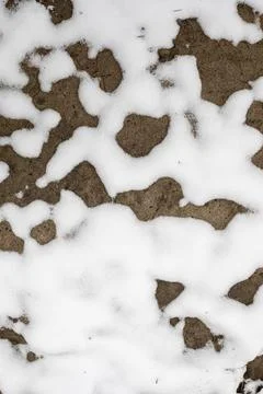 First snow on a path in the forest, walk, format Foto stock