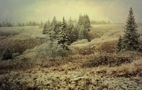 First snow Stock Photos