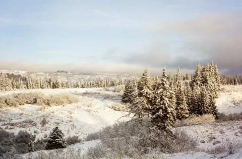 First snow Stock Photos
