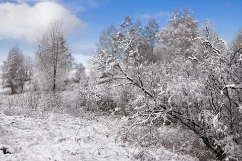 The first snow 库存照片