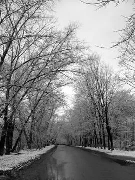 First snow Stock Photos