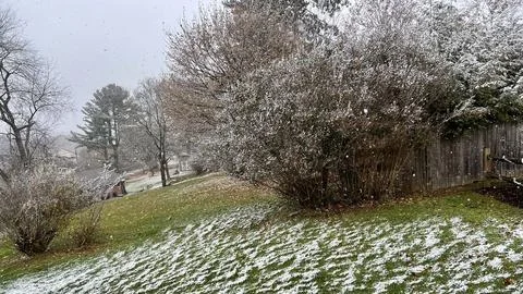 First Snow 库存照片