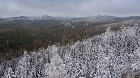 The first snow in the reserve. Time lapse Video stock 58948646