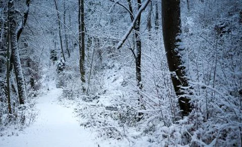 First Snow in Winter 스톡 사진
