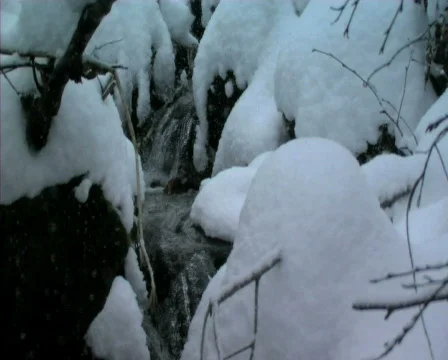 First snow, , wood,  river Видео 860705