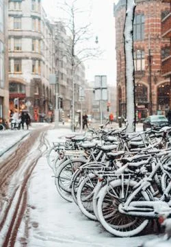 First snow of the year Stock Photos
