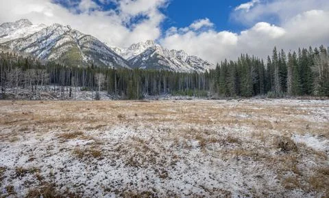 First Snowfall on an Alpine Meadow Stock Photos
