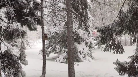 First snowfall in the city park. Tree branches covered in snowdrifts. Stock Footage 318729784