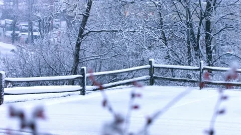 First Snowfall Stock Footage 44343430
