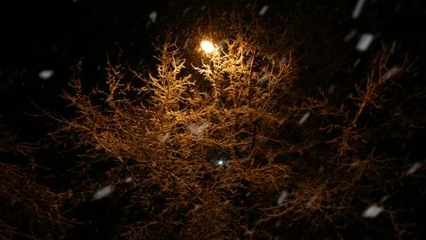 First snowfall outside the window. Stock Footage 165075310