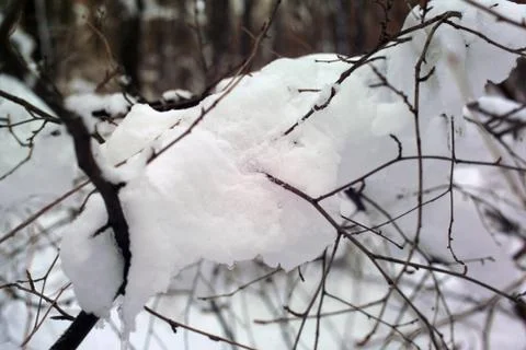 First snowfall Stock Photos