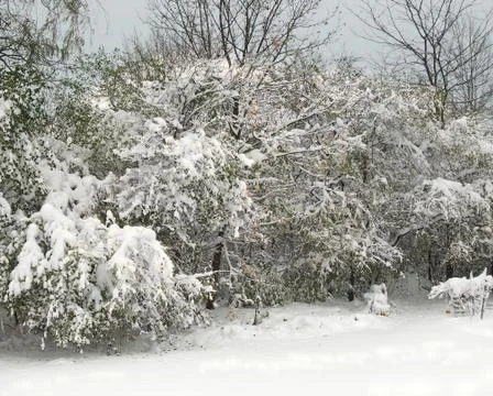 First snowfall of the season Stock Photos