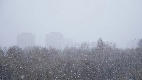 First snowfall. Snow falling Stock Footage 107178213