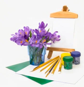 First spring crocus flowers. Stock Photos