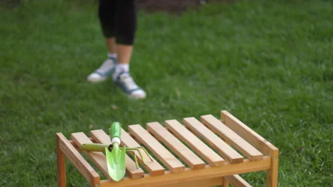 First spring flowers Stock Footage 130346556