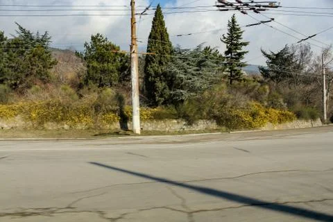 The first spring flowers. Stock Photos