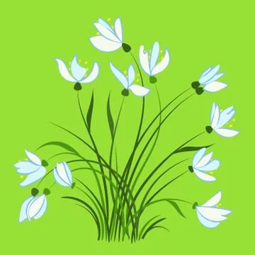 First spring flowers, snowdrops Stock Illustration