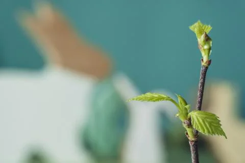 First spring leaves. Rabbits in the background Stock Photos