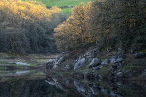 First spring shoots in some trees on the bank of a calm river Stock Photos