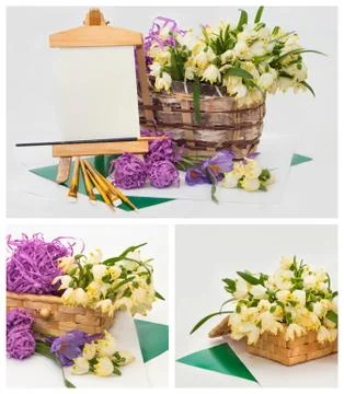 First spring snowdrop collage Stock Photos