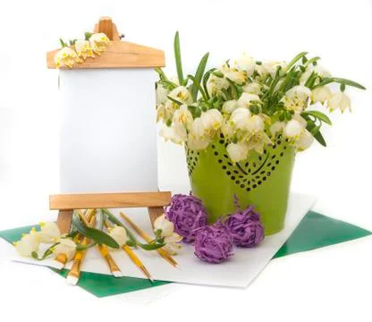 First spring white flowers,snowdrop. Stock Photos