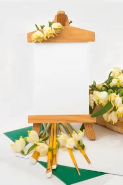 First spring white snowdrops. Stock Photos