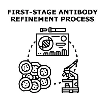 First stage antibody refinement process concept Stock Illustration