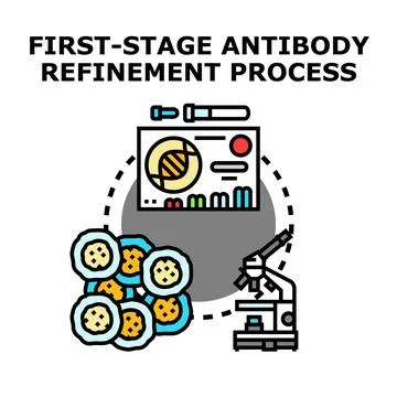 First stage antibody refinement process concept Stock Illustration
