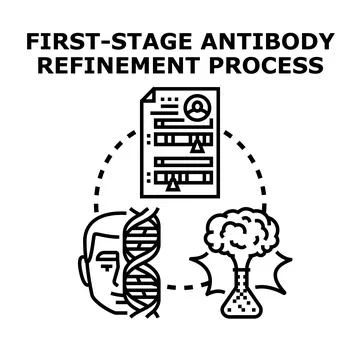 First stage antibody refinement process concept Illustrazione stock