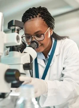 The first step is to observe closely. a young scientist using a microscope in a Stock Photos