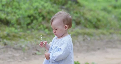 First steps along the forest sandy road 스톡 동영상 137806301