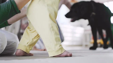 First steps of a little boy. the child learns to walk Stock Footage 88244733
