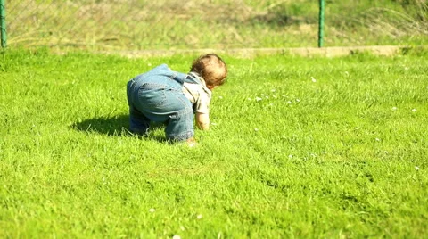 First steps a little boy in yard in at the village Stock Footage 63641260