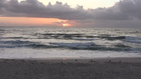 First Sun on a Florida Beach Stock Footage 37163791