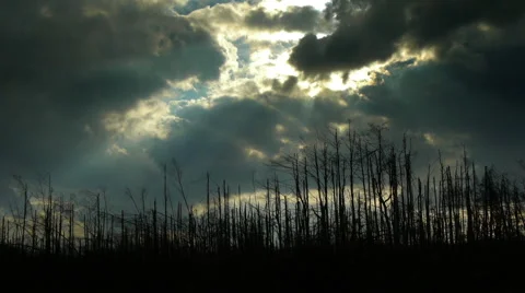 First Sun Rays After Devastating Storm 库存影片 44982274