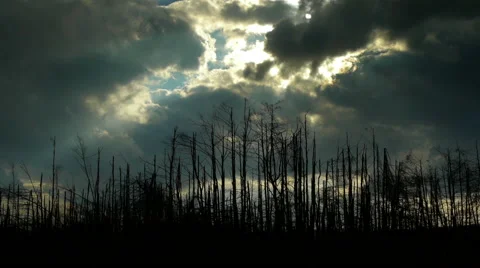 First Sun Rays Through the Clouds After Storm 库存影片 44982392