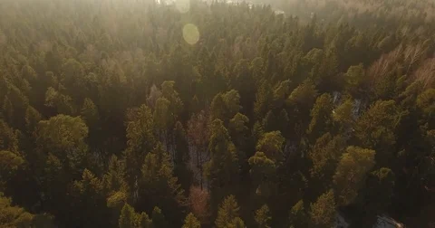 First sunny spring days. Aerial drone footage. Camera moves over trees and river Stock Footage 73671932