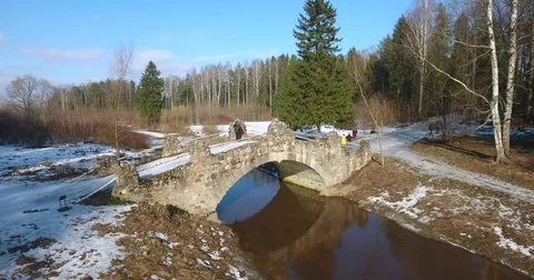First sunny spring days. Aerial drone footage. Camera moves over trees and river Stock Footage 73672089