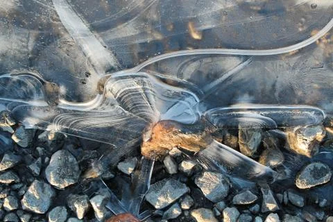 The first thin and transparent crust of ice on a puddle beautifully turns int Stock Photos
