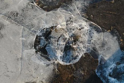The first thin and transparent crust of ice on a puddle. The first ice is bro Stock Photos