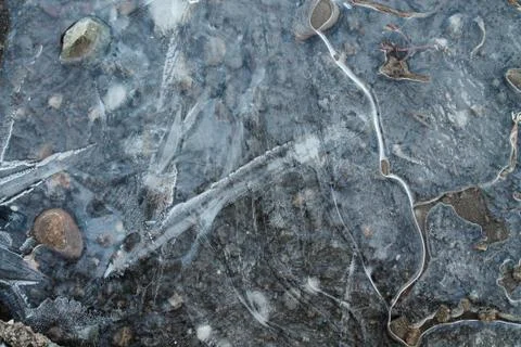 The first thin crust of ice on a puddle, transparent and tender. Pebbles can Stock Photos