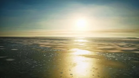 The first thin ice on the forest stream, along the banks grow tall pine trees 動画素材 257774596