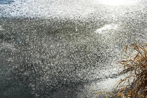 First thin ice on river or lake and dry yellow grass on shore abstract winter Foto stock