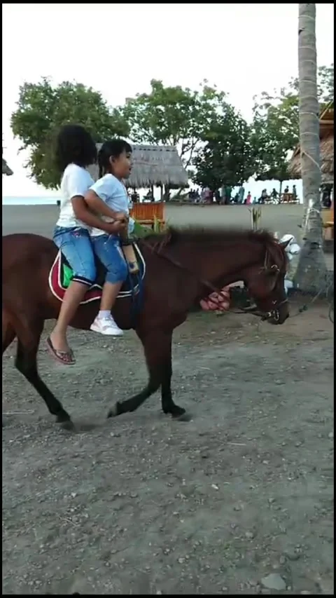 First time riding a horse Vídeos de archivo 297079880