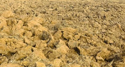 First time roughly plough Stock Photos